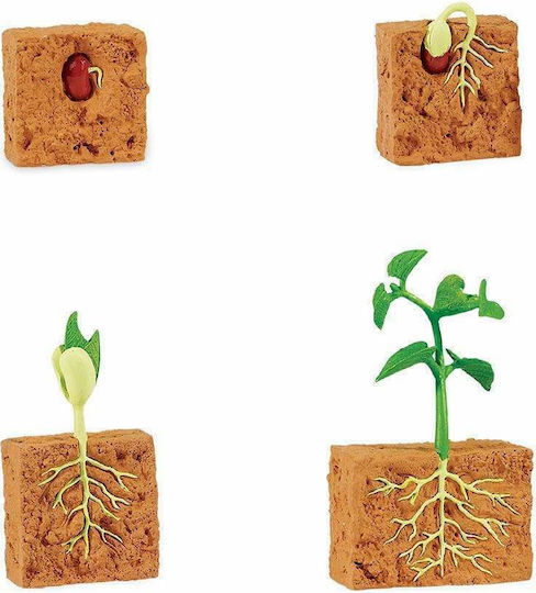 Safari Ltd Life Cycle of A Green Bean Plant STEM Εκπαιδευτικό Παιχνίδι Γνώσεων για 4+ Ετών