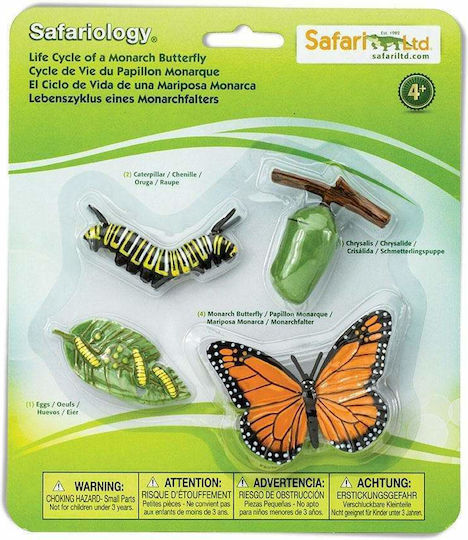 Safari Ltd Life Cycle of A Monarch Butterfly STEM Educational Game Knowledge for 4+ Years Old