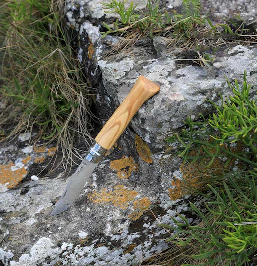 Opinel No.9 Briceag Maro