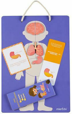 Mieredu Magnetic Construction Toy Body Emotions for Children 4+ years old+ Years