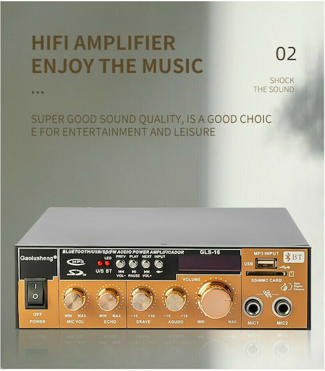 Karaoke Amplifier GLS-16 Gold