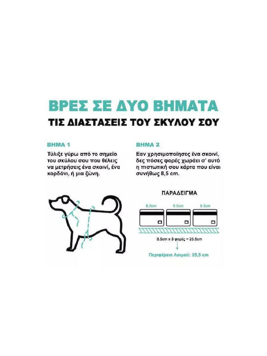 Zee-Dog Honey Κολάρο Σκύλου Large 25mm x 45 - 70cm