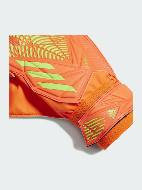 adidas Predator Edge Γάντια Τερματοφύλακα Ενηλίκων Πορτοκαλί