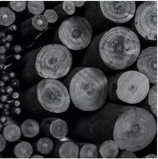 Coates English Willow Coal Painting 50pcs