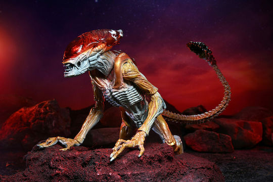 Neca Alien: Panther Alien (Kenner Tribute) Φιγούρα Δράσης 18εκ.