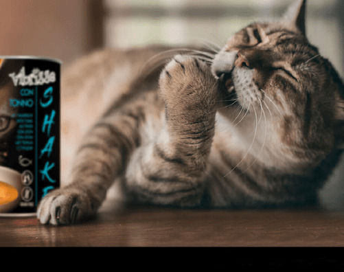 Croci Vibrisse Shake Senior Wet Food for Senior Cats in Cans with Tuna Grain-Free 6x135gr