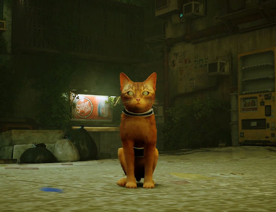 Stray PS5-Spiel