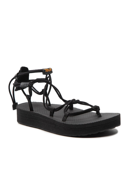 Teva