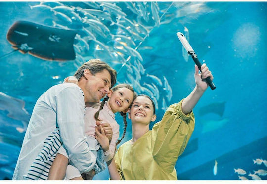 Ricoh Theta SC2 Action Camera Full HD (1080p) 360° Capture Underwater (with Case) and Wi-Fi Blue