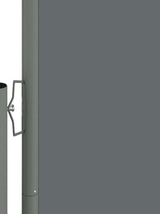 vidaXL Seitenrolloschatten Terrasse Charcoal 1.6x10m