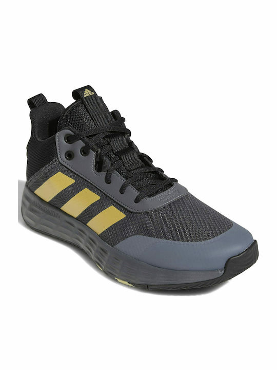 Ownthegame 2.0 Χαμηλά Μπασκετικά Παπούτσια Grey Five / Matte Gold / Core Black