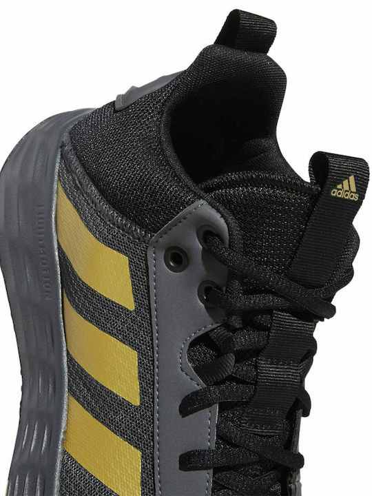 Ownthegame 2.0 Χαμηλά Μπασκετικά Παπούτσια Grey Five / Matte Gold / Core Black