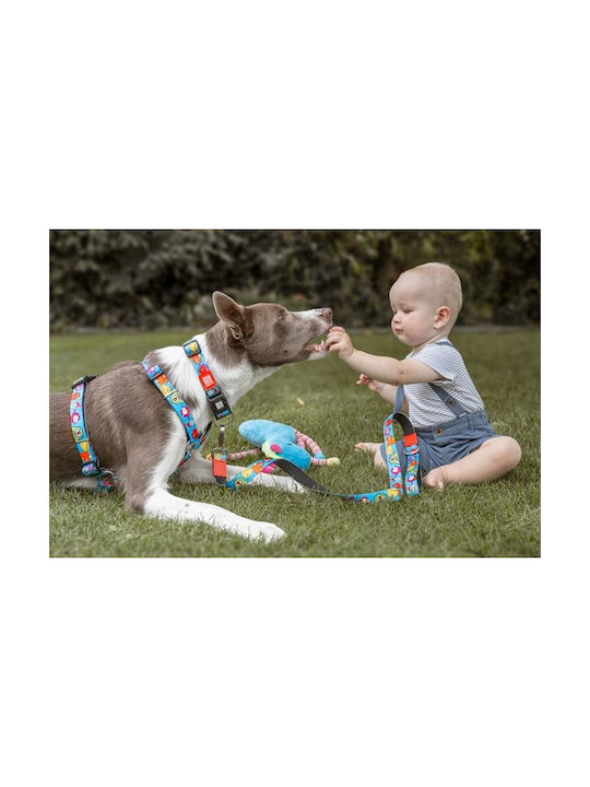 Max & Molly Little Monsters Dog Collar Medium 20mm x 34 - 55cm Max & Molly Little Monsters Dog Collar Medium 20mm x 34 - 55cm