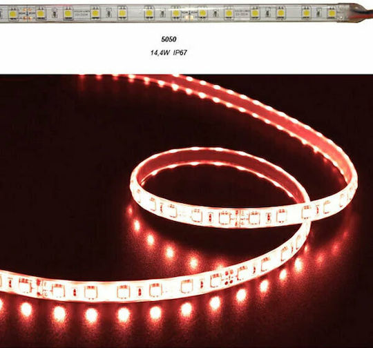 Adeleq Waterproof LED Strip 24V Red Light 5m Type SMD5050