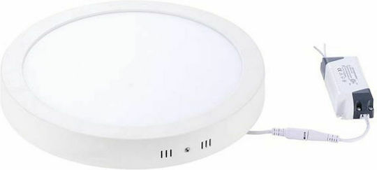 Vito Linda-R Rund Draußen LED Panel 12W mit Natürliches Weiß Licht 4000K