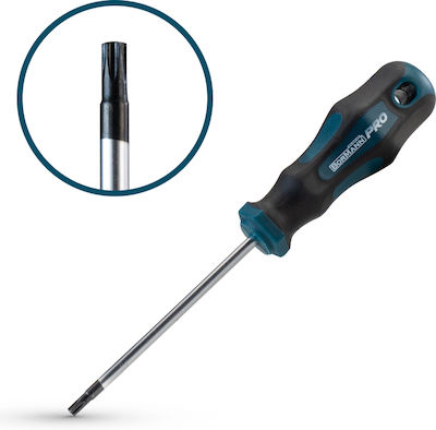 Bormann Pro Magnetic Șurubelniță Torx Dimensiunea T25x100mm BHT7034