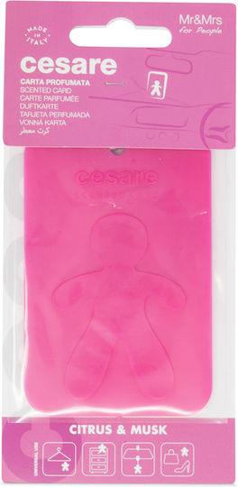 Mr & Mrs Fragrance Car Air Freshener Tab Pendand Cesare Citrus & Musk