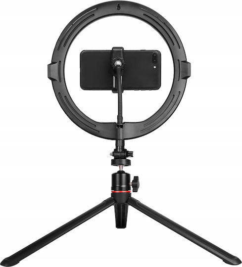 AgfaPhoto Realiview ARL11 Ring Light 28cm With Desktop Tripod And Mobile Phone Holder