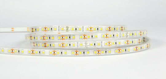 VK Lighting Waterproof LED Strip 12V Natural White Light 5m Type SMD3528
