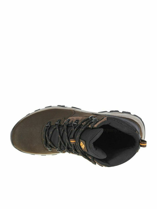 Columbia Newton Ridge Plus II Men's Hiking Boots Cordovan / Squash