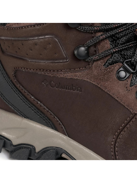 Columbia Newton Ridge Plus II Men's Hiking Boots Cordovan / Squash