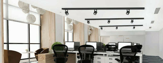 Inlight T00600 Einzel Spot mit Fassung GU10 in Schwarz Farbe