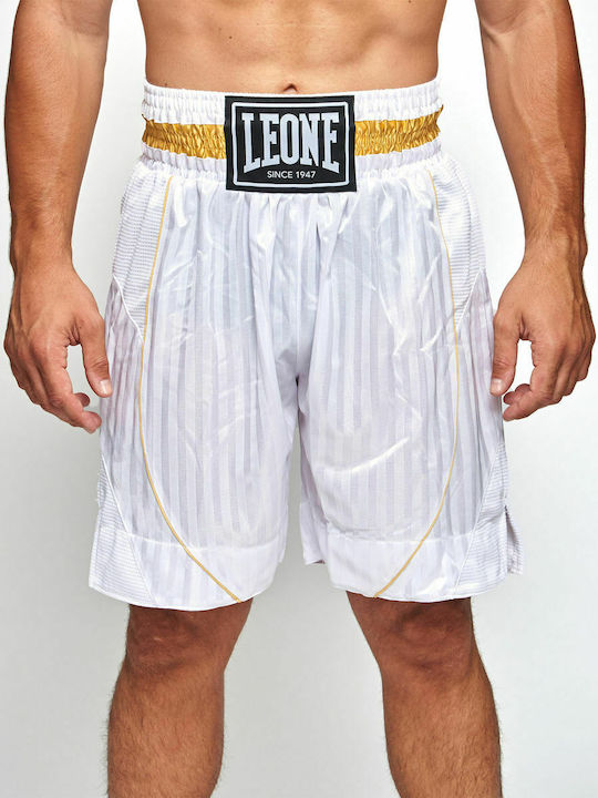 Leone AB240