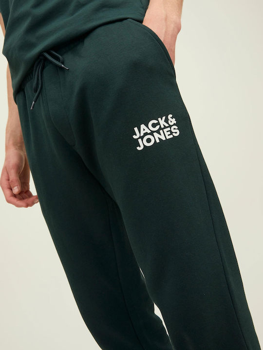 Gordon Sweatpants with Elastic Pine Grove