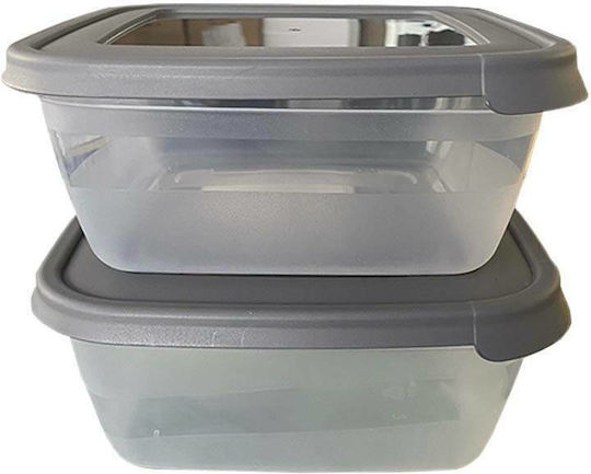 Sidirela Lunchbox Kunststoff Grey 2Stück