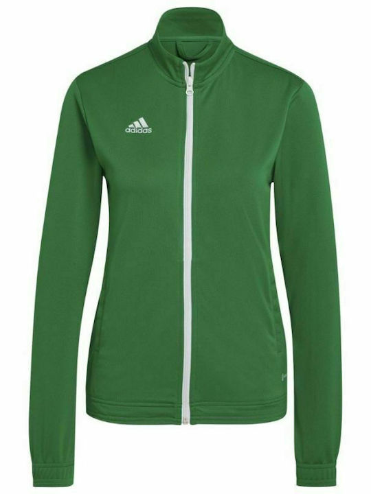 Entrada 22 Women's Sweatshirt Jacket Green