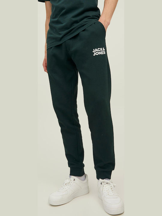 Gordon Sweatpants with Elastic Pine Grove