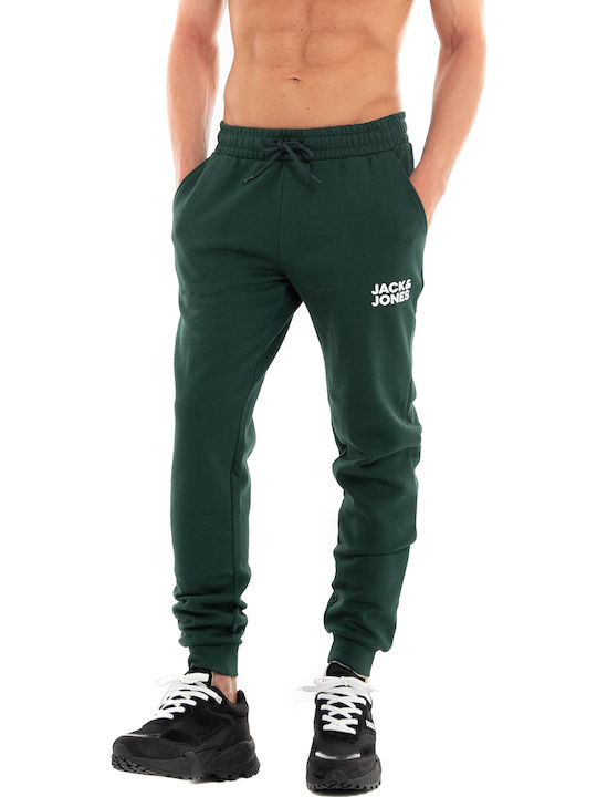 Gordon Sweatpants with Elastic Pine Grove
