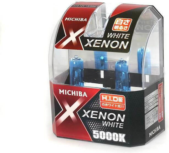 Xtec Λάμπες Αυτοκινήτου Xenon Look H15 Αλογόνου 4200K Φυσικό Λευκό 12V 55W 2τμχ