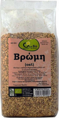 Όλα Bio Organic Seeds Oatmeal Whole Grain 500gr 1pcs ΒΙΟ004