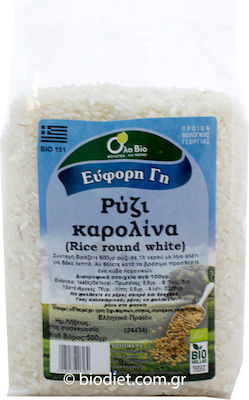 Όλα Bio Βιολογικό Ρύζι Καρολίνα 500gr