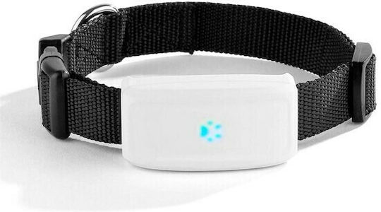 Tkstar GPS Електрическа Огърлица за Куче & Куче TK911