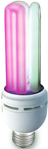 Zoomed Paludarium 3 in 1 Accessory for Reptiles Terrarium