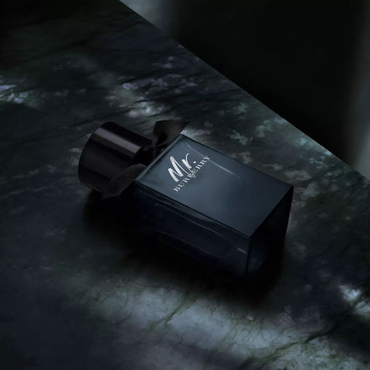 Burberry Mr. Burberry Eau de Parfum 100ml