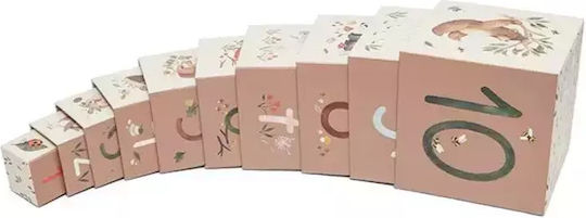 Petit Monkey Activity Cube Cubes Wild Animals for 12++ Months