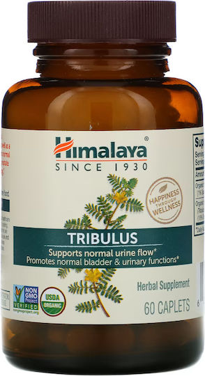 Himalaya Wellness Tribulus 688mg 60 Capsule