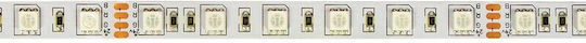 VK Lighting Ταινία LED 24V RGB Φως 5m Τύπου SMD5050
