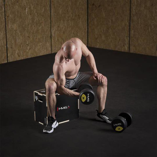 HMS DSC03 17-62-105 Plyometric Wooden Box