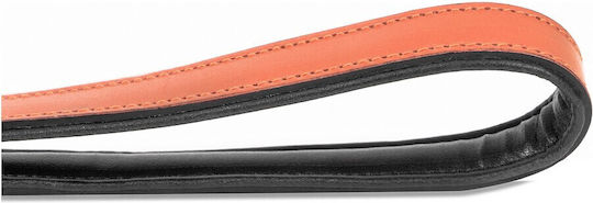 Gloriapets Hundeleine/Führleine Leder Padded Soft in Orange Farbe 1m x 1.8cm