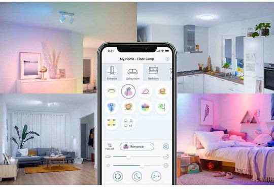 WiZ Lămpi Decorative Pentru Masă LED RGB