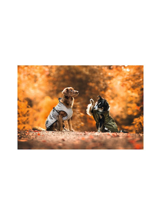 Hunter Norton 360 Uppsala Hundemantel Wasserdicht Braun mit Rückenlänge 45 cm.