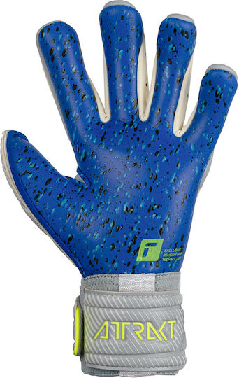 Reusch Attrakt Fusion Guardian Torwarthandschuhe Erwachsene Gray