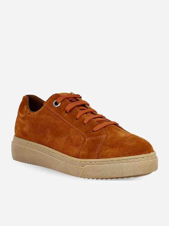 Parex