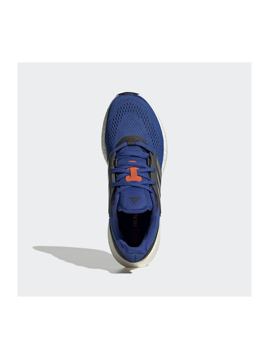 Pureboost 22 Sport Shoes Running Royal Blue / Matte Silver / Core Black