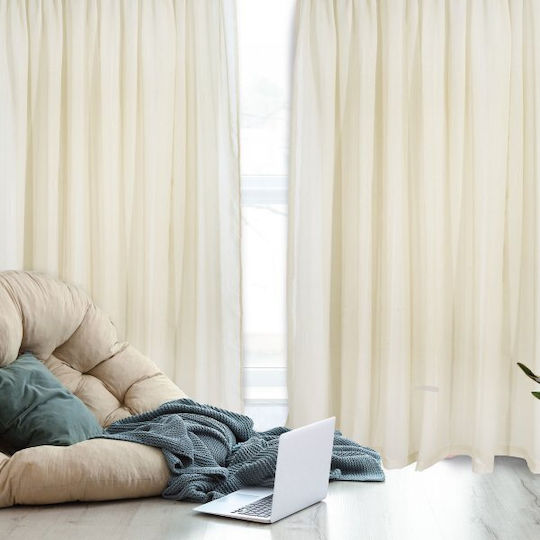 Das Home Vorhang mit Bleistiftfalten 2193 Beige 420452702193 450x270cm
