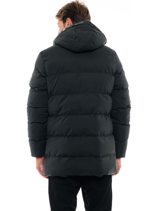 Biston Biston